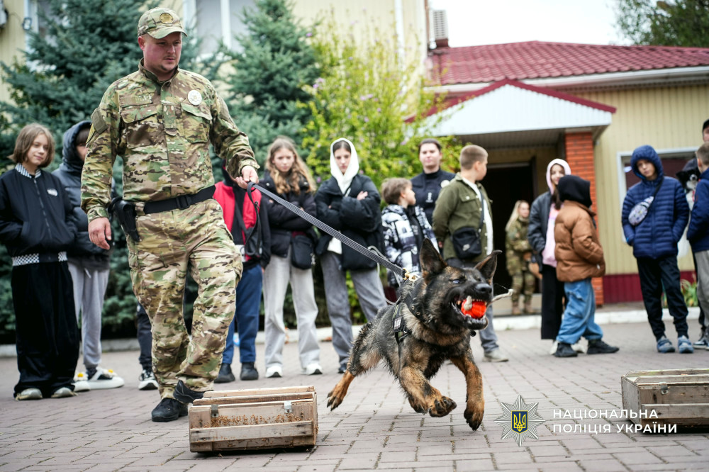 22568 image for slide