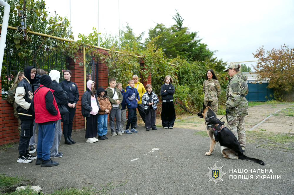 22571 image for slide