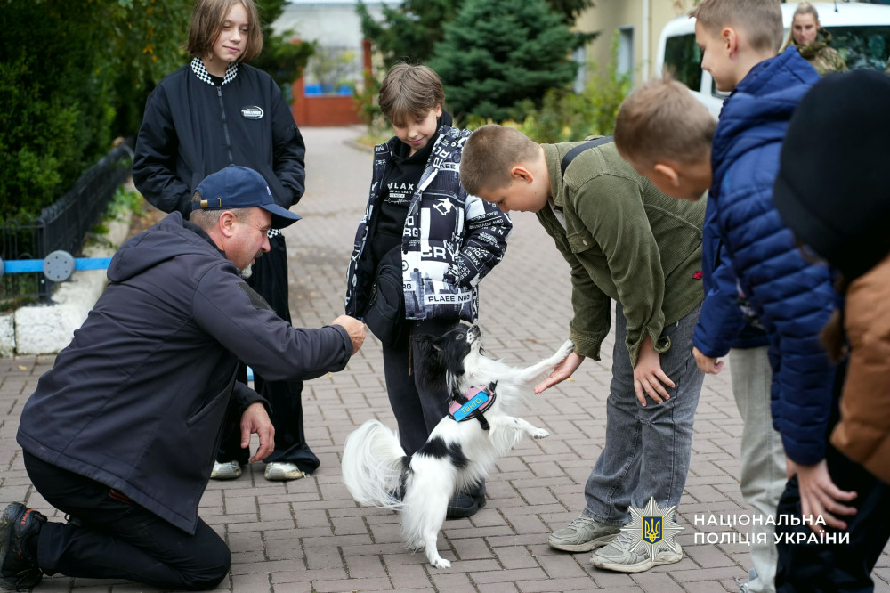 22572 image for slide