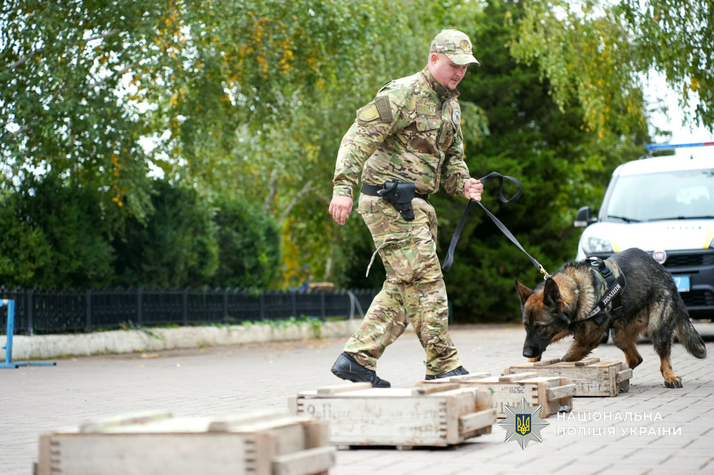 22573 image for slide