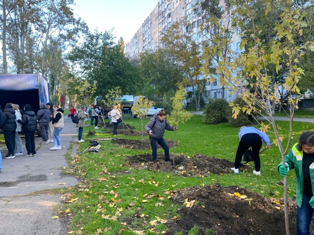 22941 image for slide