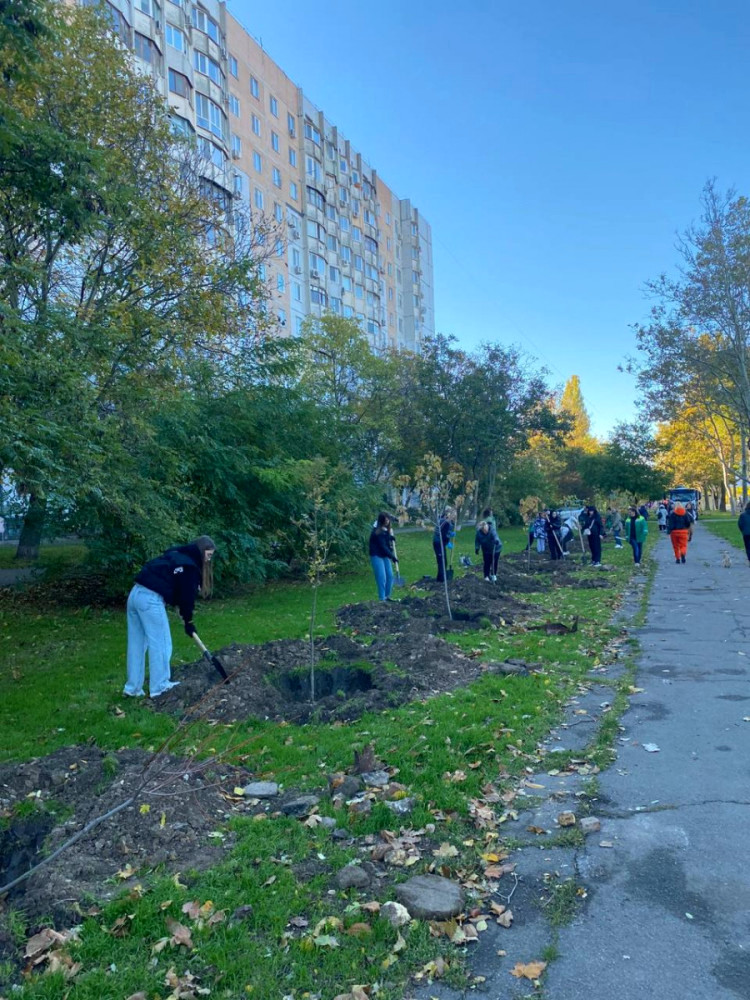 22942 image for slide