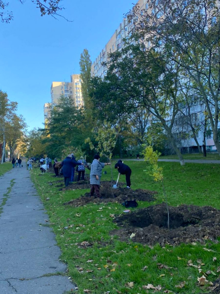 22943 image for slide