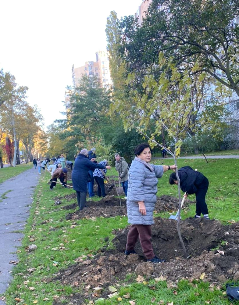 22944 image for slide