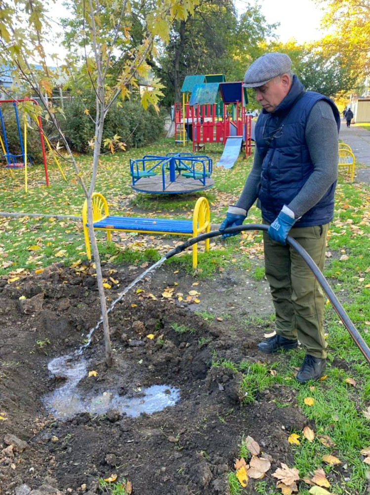 22946 image for slide