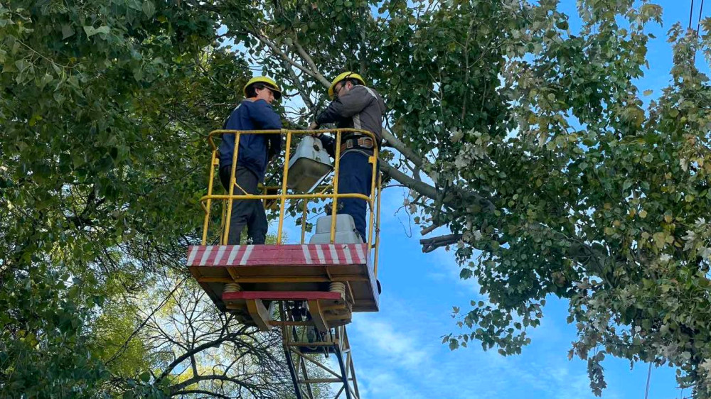 22993 image for slide