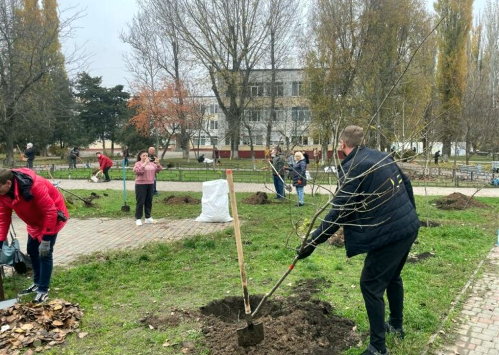 23164 image for slide