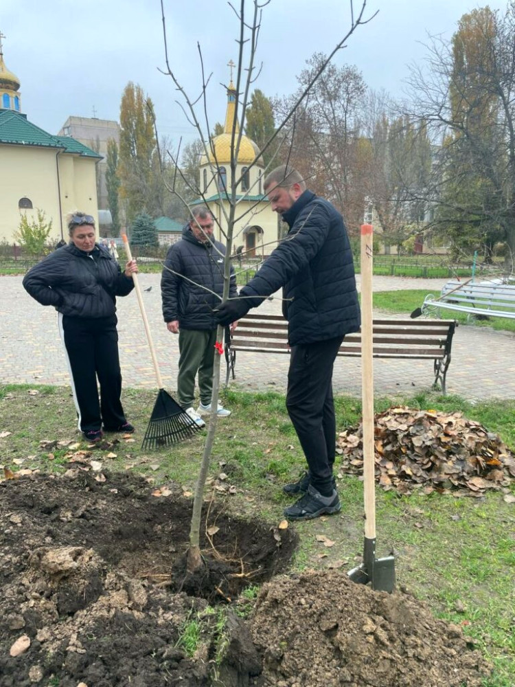 23168 image for slide