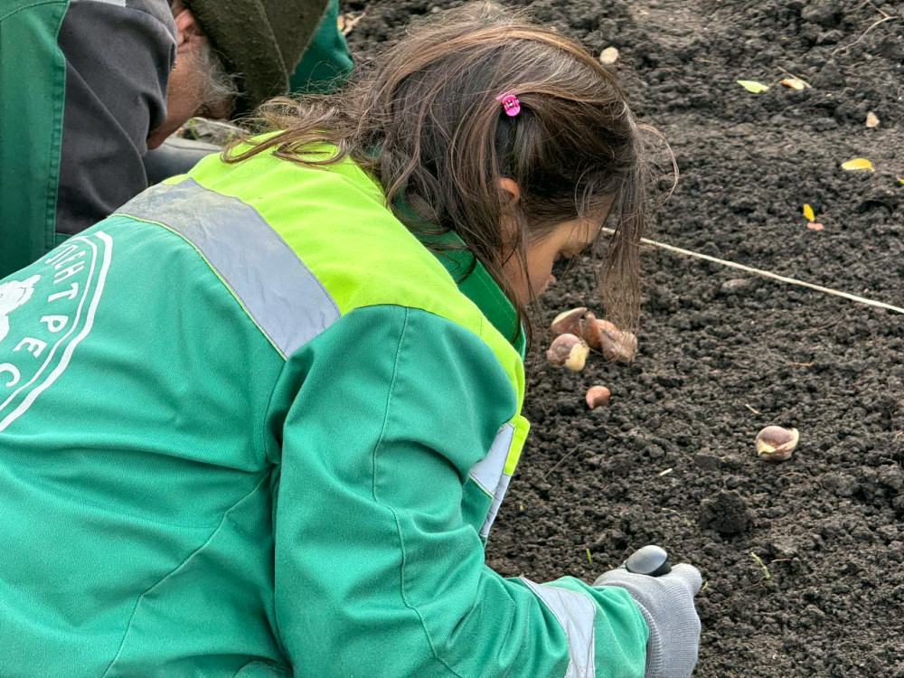 23417 image for slide