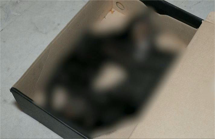 23624 image for slide