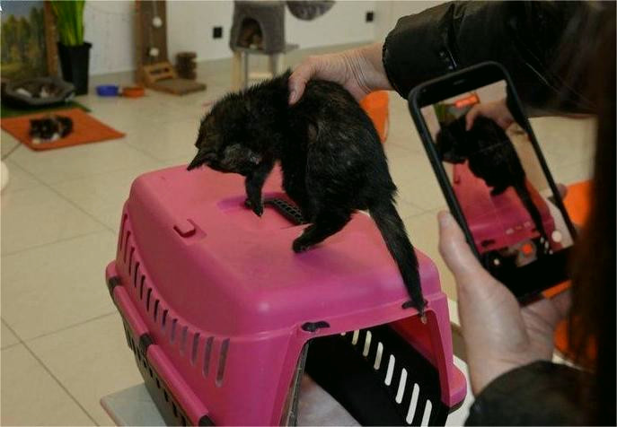 23626 image for slide