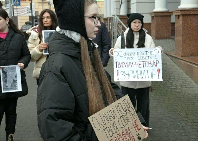 23627 image for slide