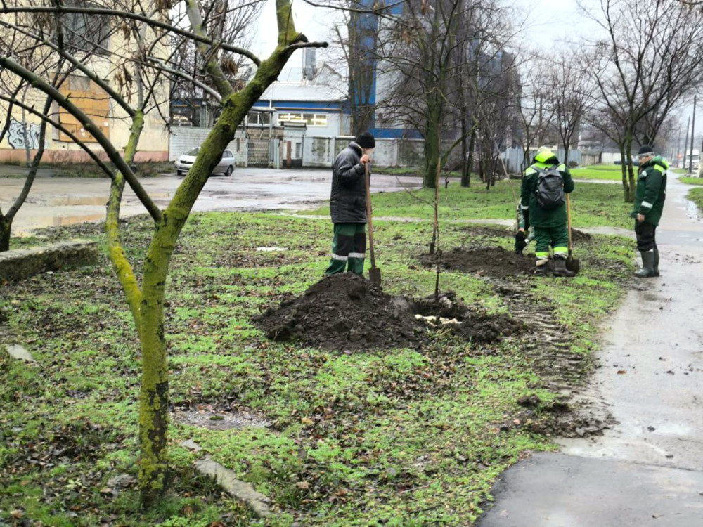 23709 image for slide