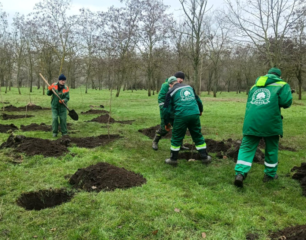 23710 image for slide