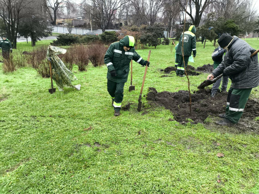 23712 image for slide