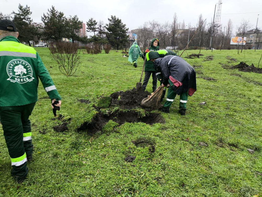 23714 image for slide